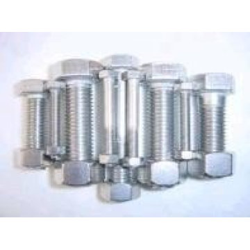 stainless steel hex bolt with nut